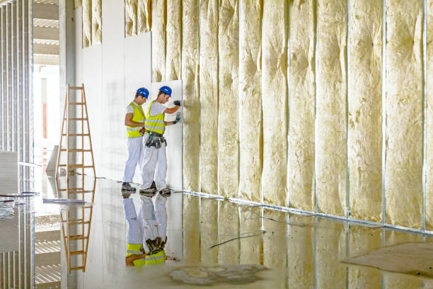 Best Insulation Installation Services in Brownsville, PA